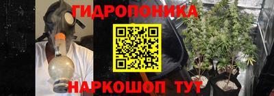 дмт Бузулук