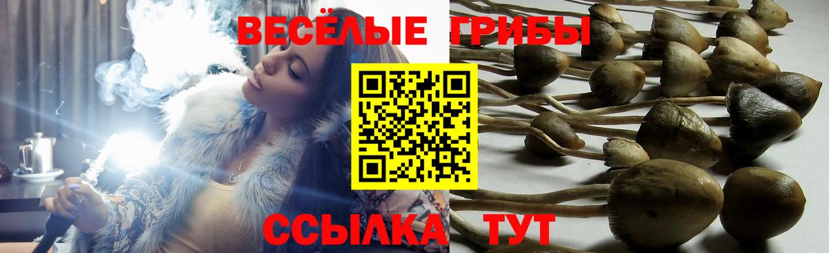 Псилоцибиновые грибы мицелий  как найти наркотики  Пыть-Ях  Вход с VPN  Псилоцибиновые грибы MAGIC MUSHROOMS 